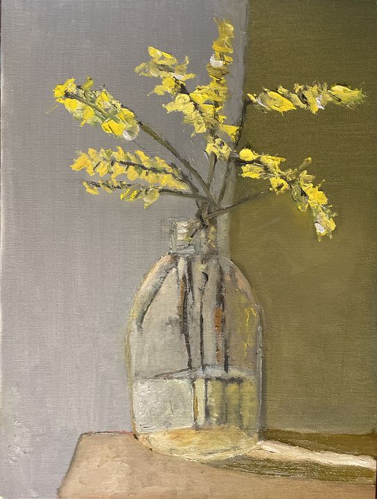 Forsythia